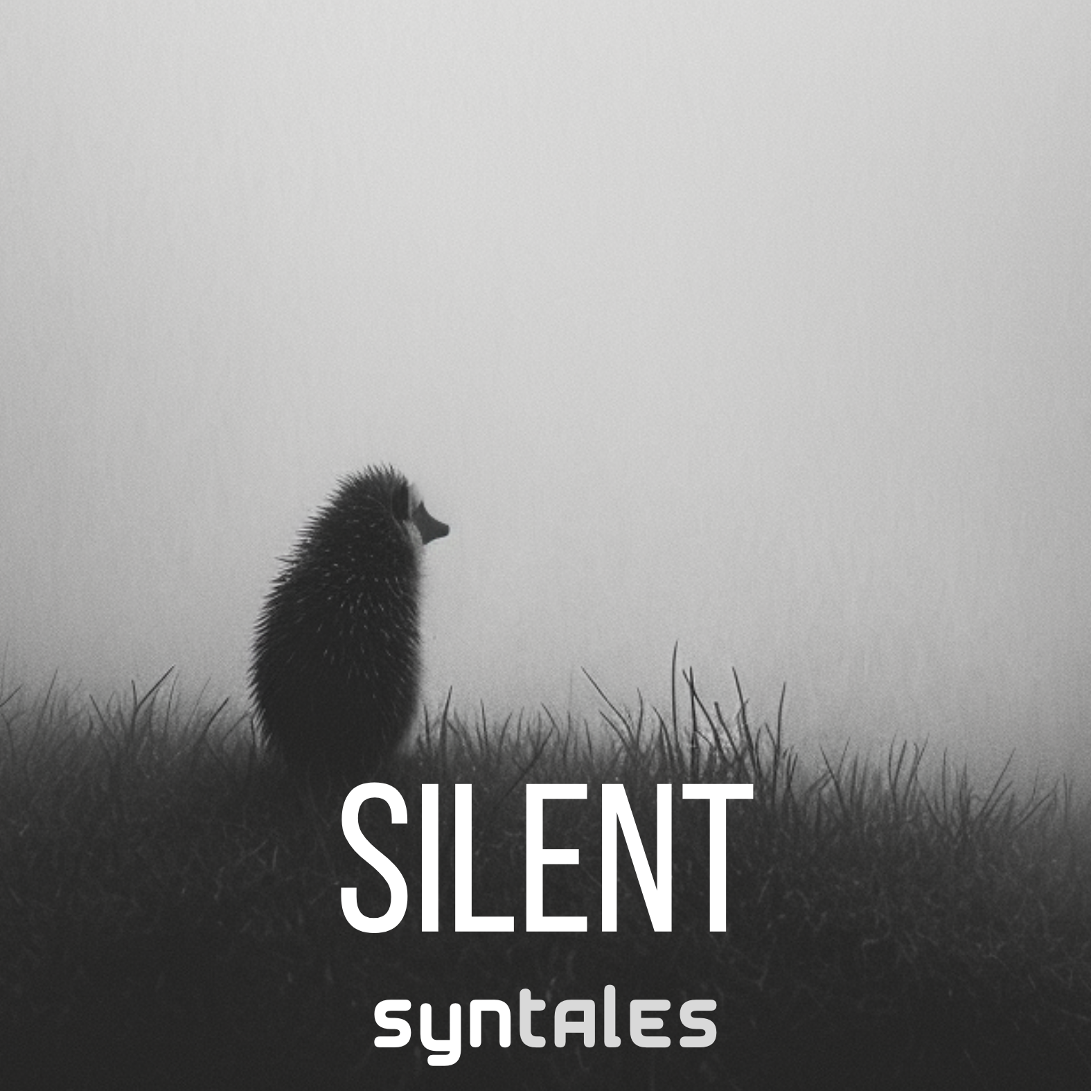Drum and Bass Syntales Silent Cover